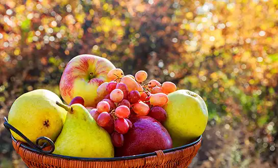 Amino Acids in Agriculture: Functions Beyond Nitrogen Supply